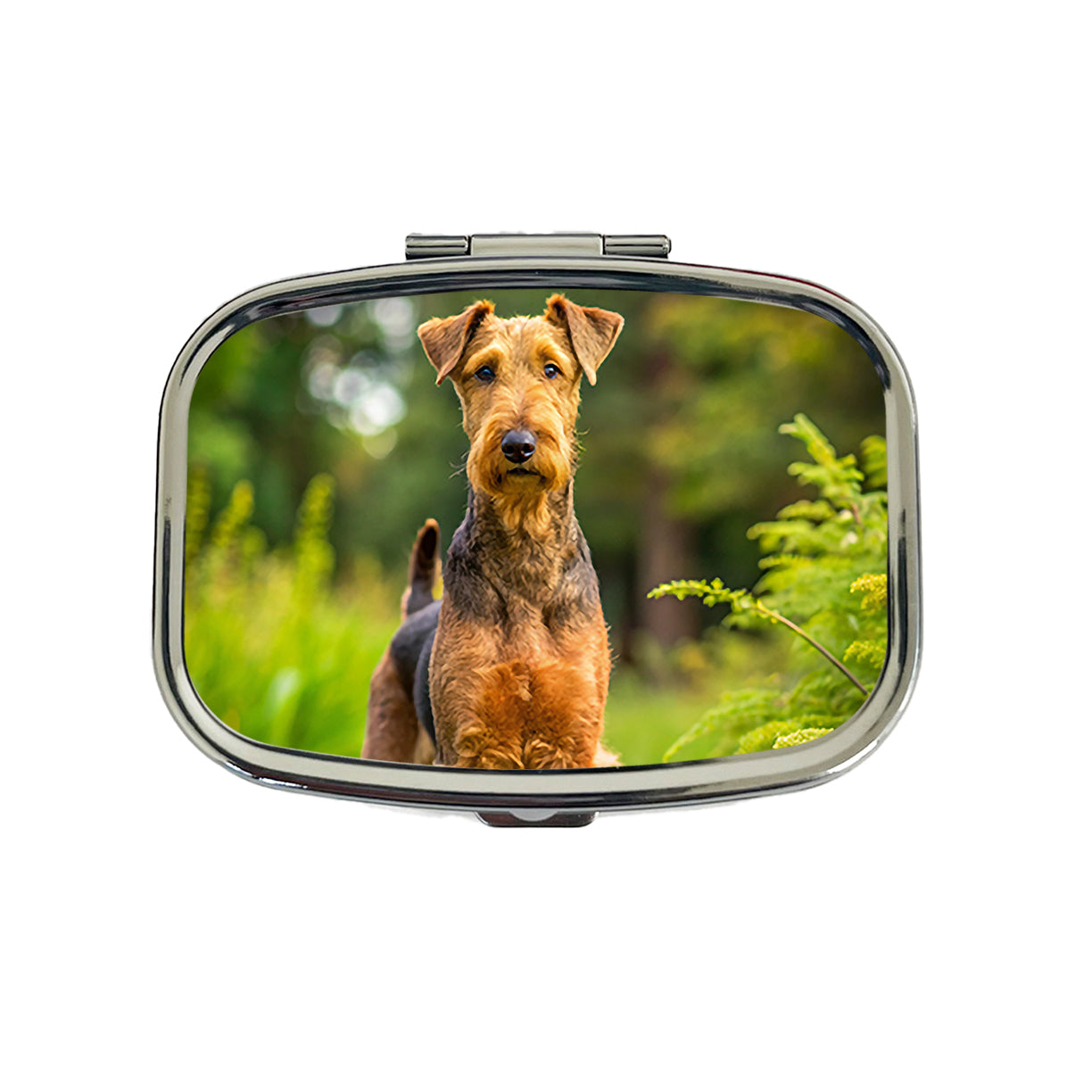 Airedale Terrier Dog Photo Travel Pill Box Case