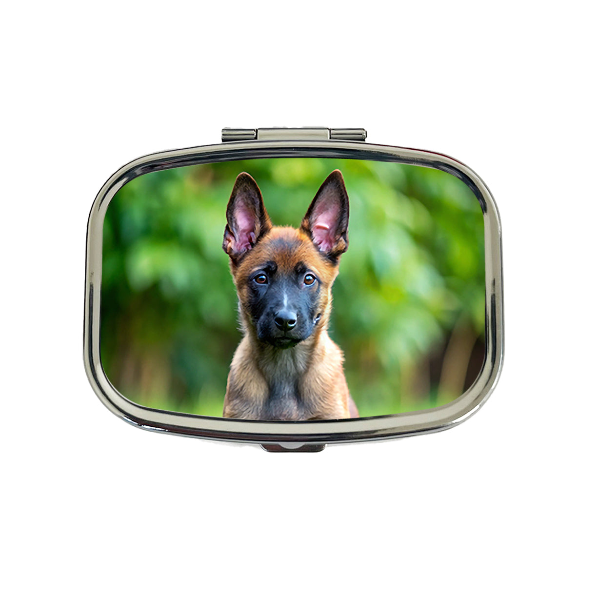 Belgian Malinois Dog Puppy Photo Travel Pill Box Case