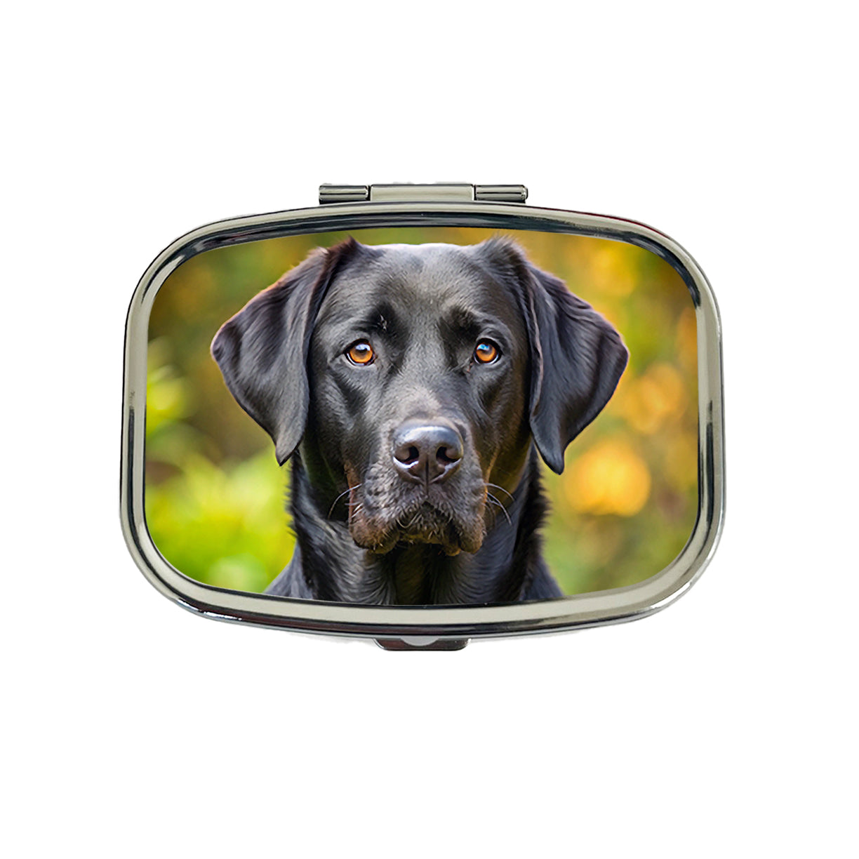 Black Labrador Retriever Dog Photo Travel Pill Box Case
