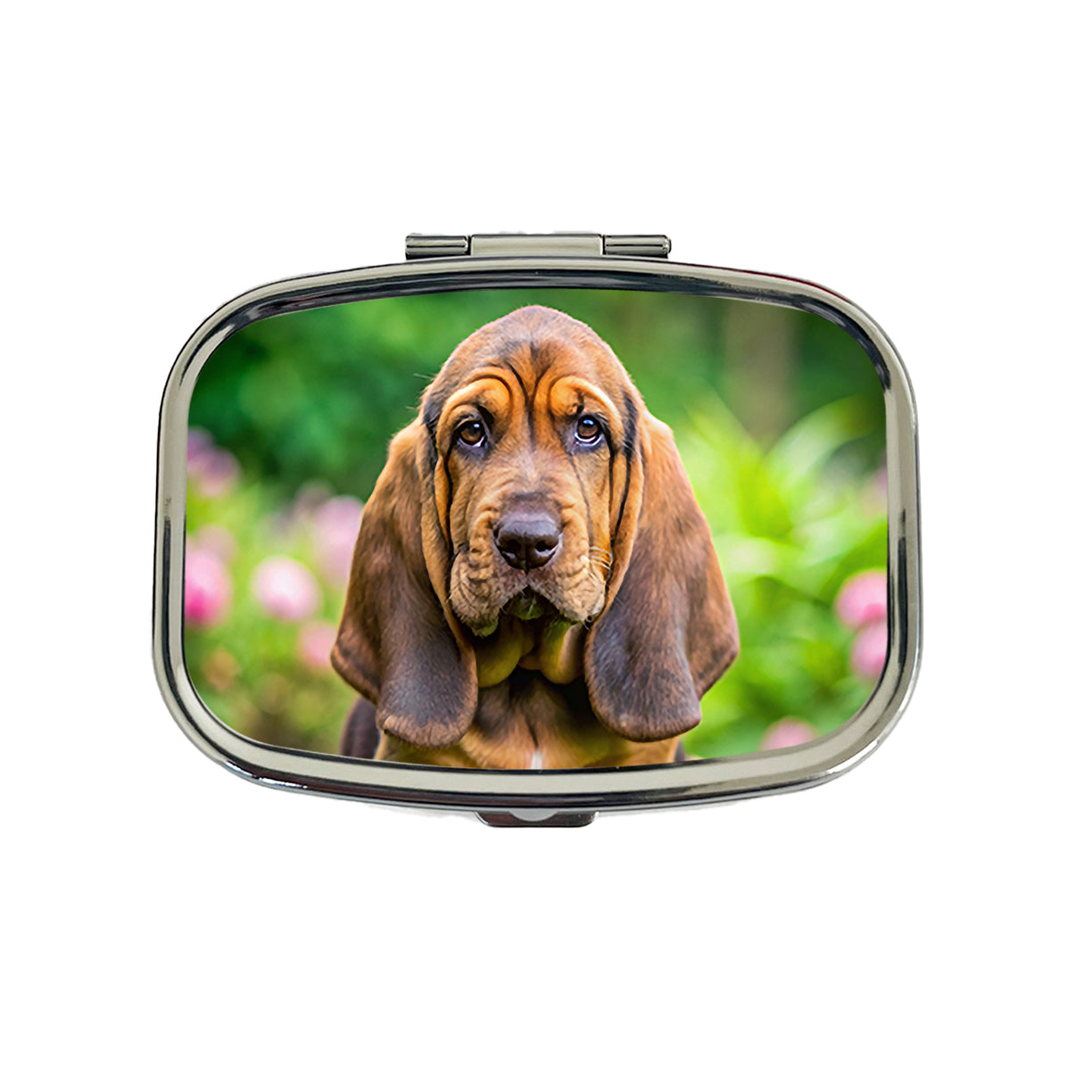 Bloodhound Dog Puppy Photo Travel Pill Box Case