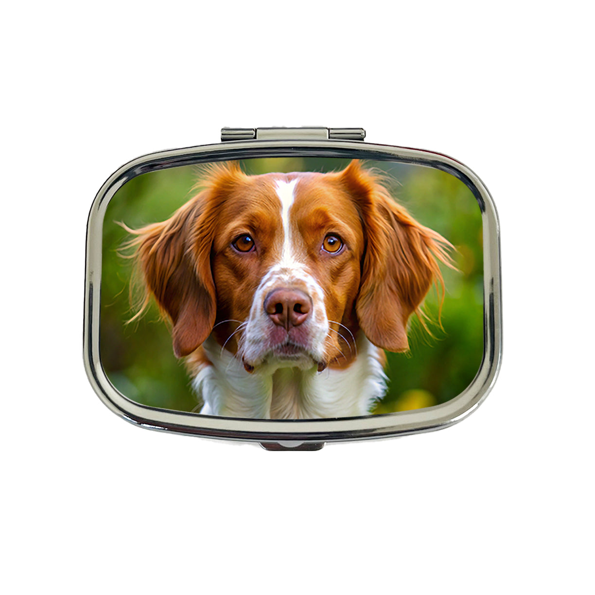 Brittany Spaniel Dog Photo Travel Pill Box Case