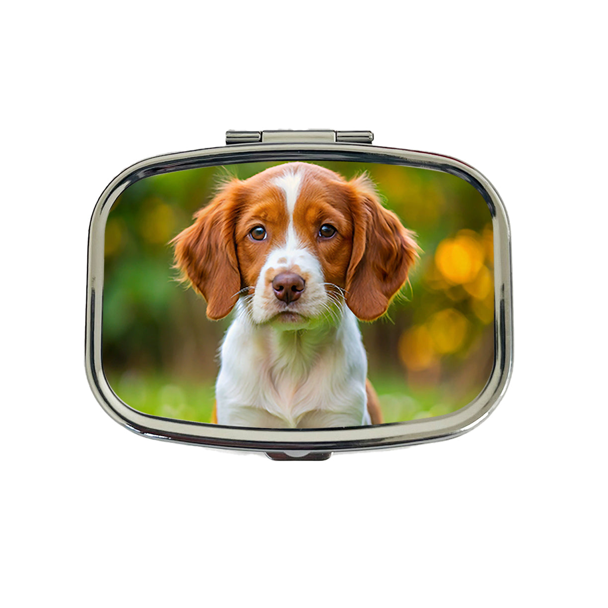 Brittany Spaniel Dog Puppy Photo Travel Pill Box Case