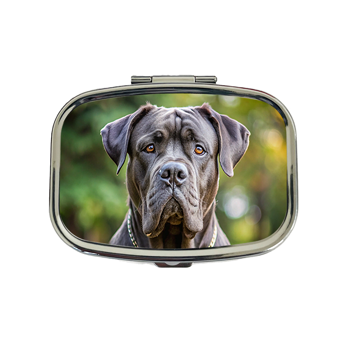 Cane Corso Dog Photo Travel Pill Box Case