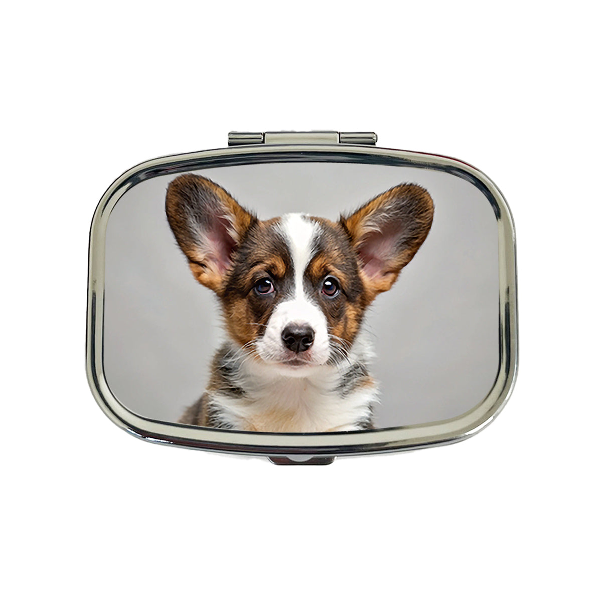 Cardigan Welsh Corgi Dog Puppy Photo Travel Pill Box Case
