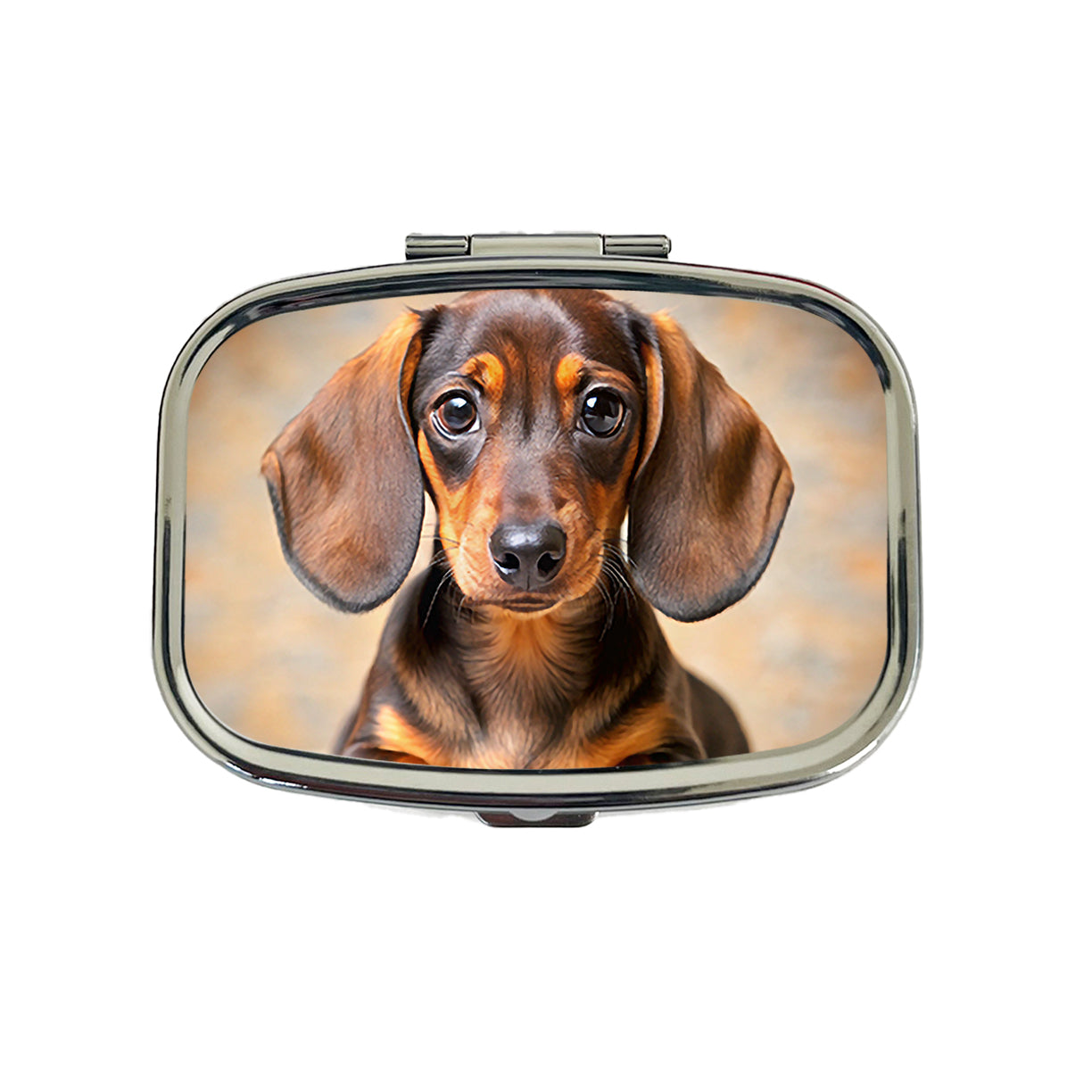 Dachshund Dog Puppy Photo Travel Pill Box Case