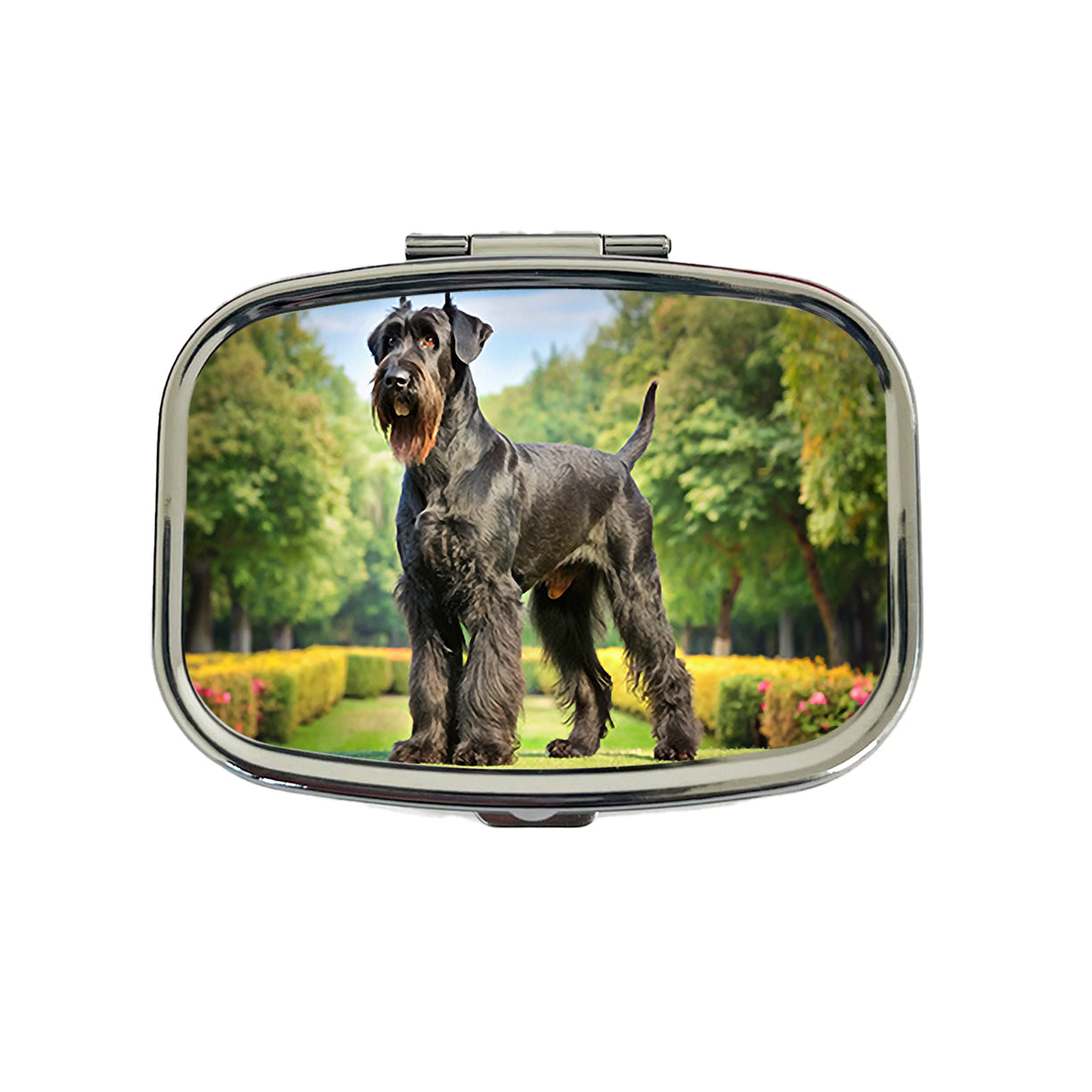 Giant Schnauzer Dog Photo Travel Pill Box Case