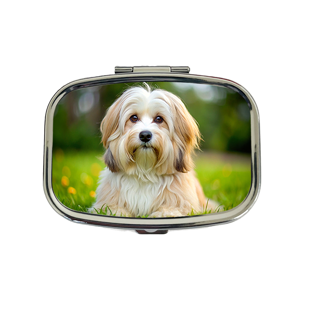 Havanese Dog Photo Travel Pill Box Case