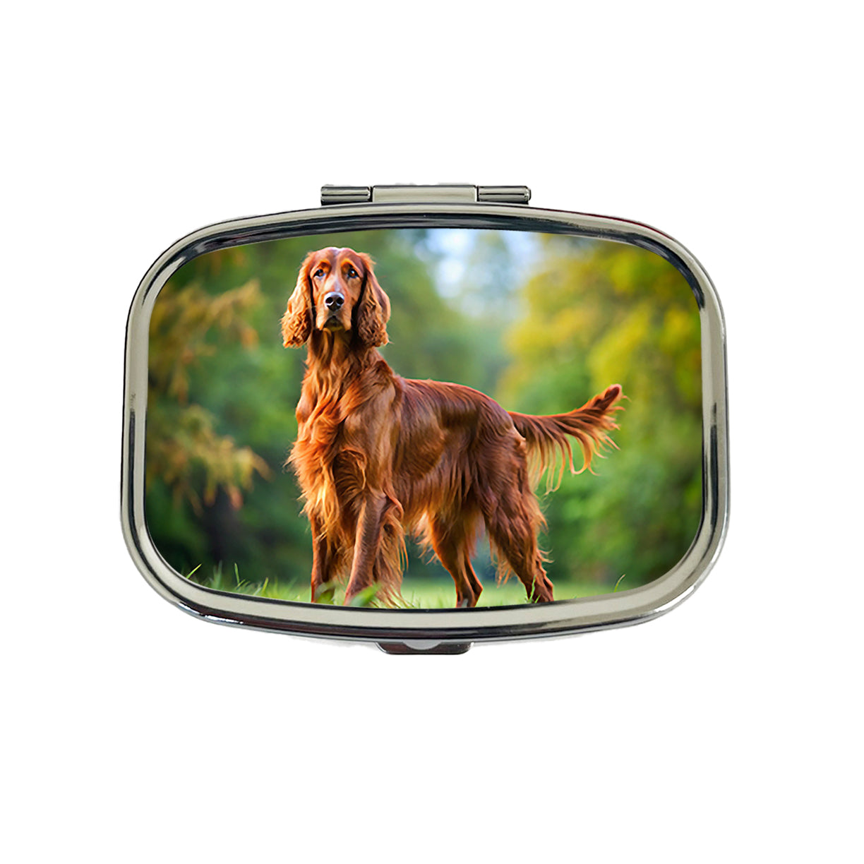 Irish Setter Dog Photo Travel Pill Box Case