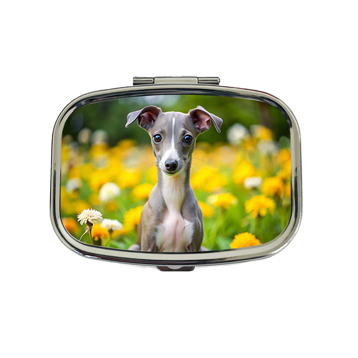 Italian Greyhound Dog Puppy Photo Travel Pill Box Case