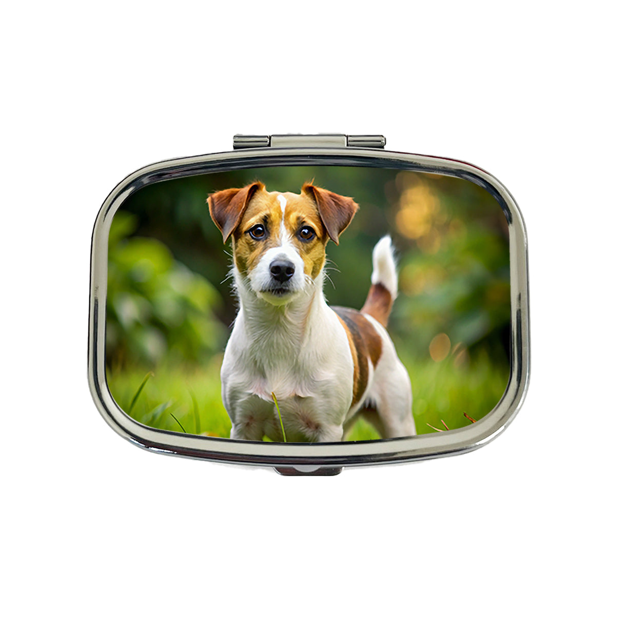 Jack Russell Terrier Dog Photo Travel Pill Box Case