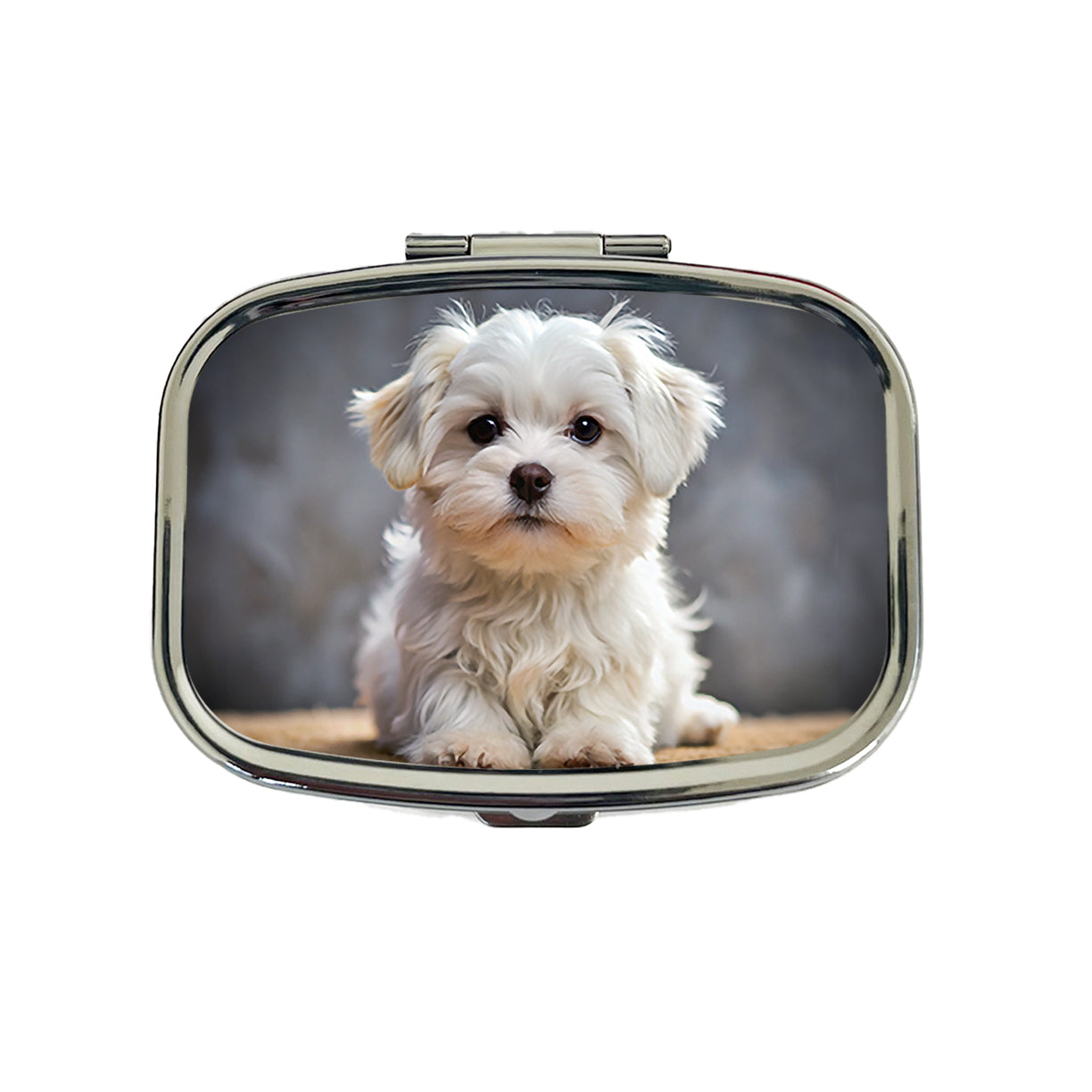 Maltese Dog Puppy Photo Travel Pill Box Case