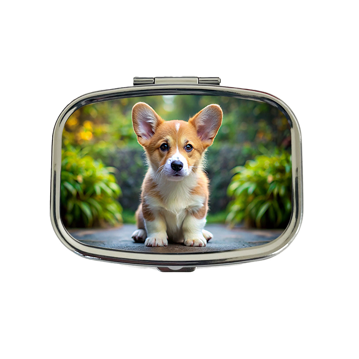 Pembroke Welsh Corgi Dog Puppy Photo Travel Pill Box Case