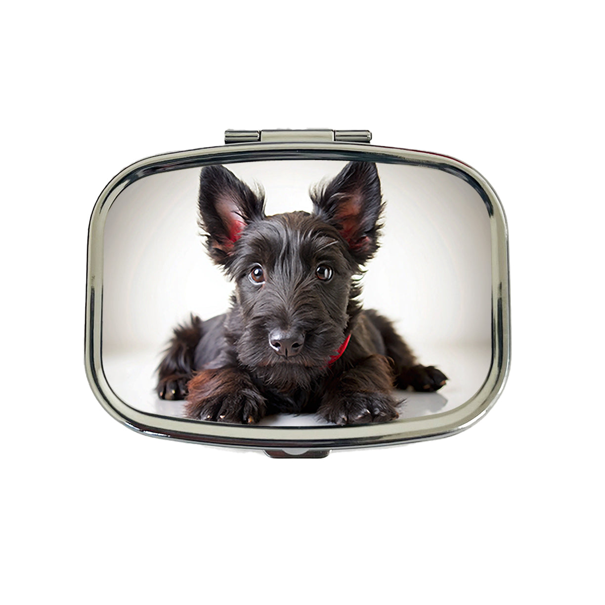 Scottish Terrier Dog Puppy Photo Travel Pill Box Case