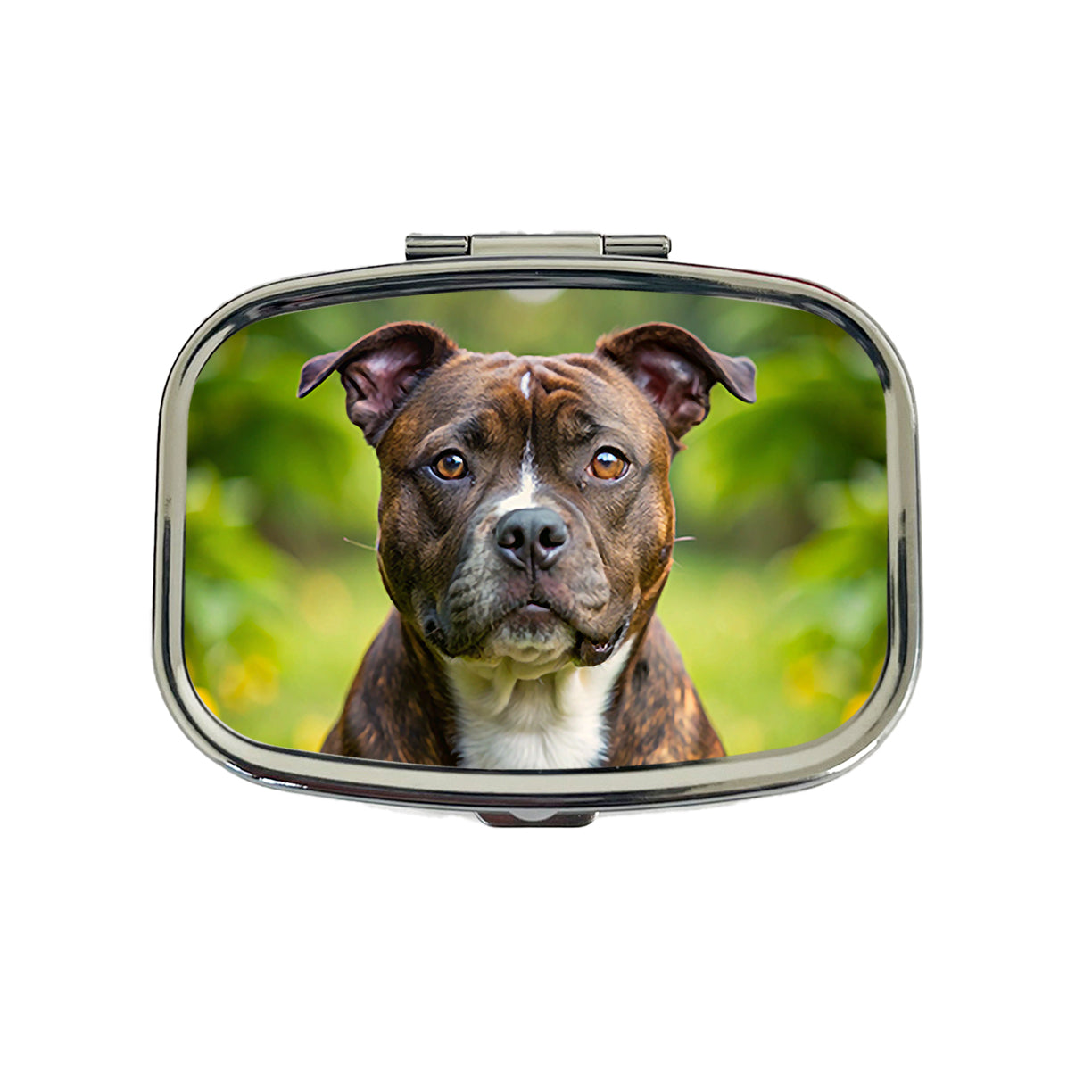 Staffordshire Bull Terrier Staffy Dog Photo Travel Pill Box Case