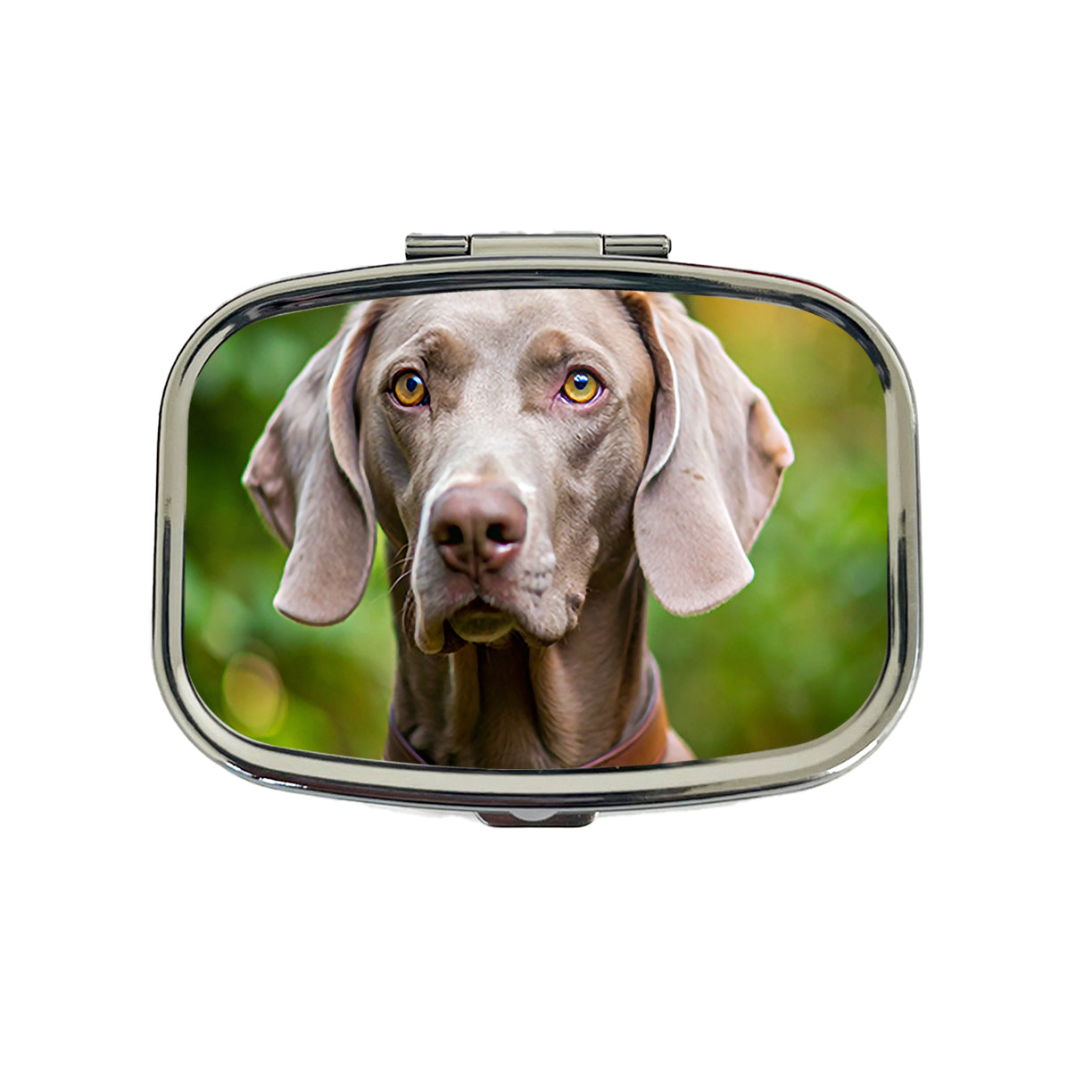Weimaraner Dog Photo Travel Pill Box Case