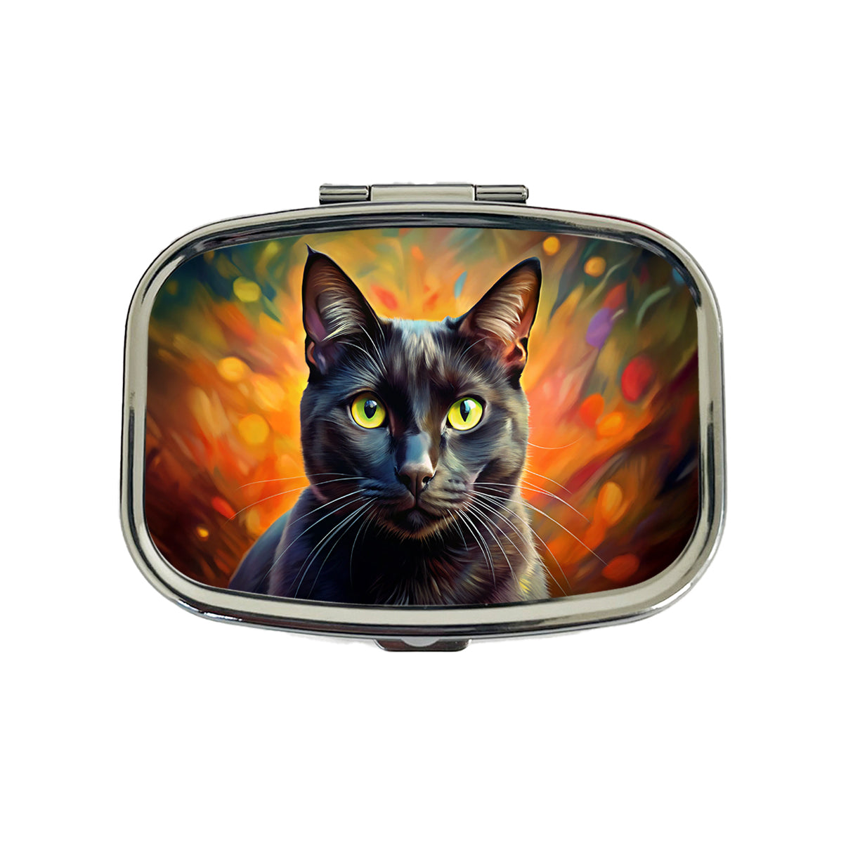 Black Cat Colorful Contemporary Style Art Travel Pill Box Case