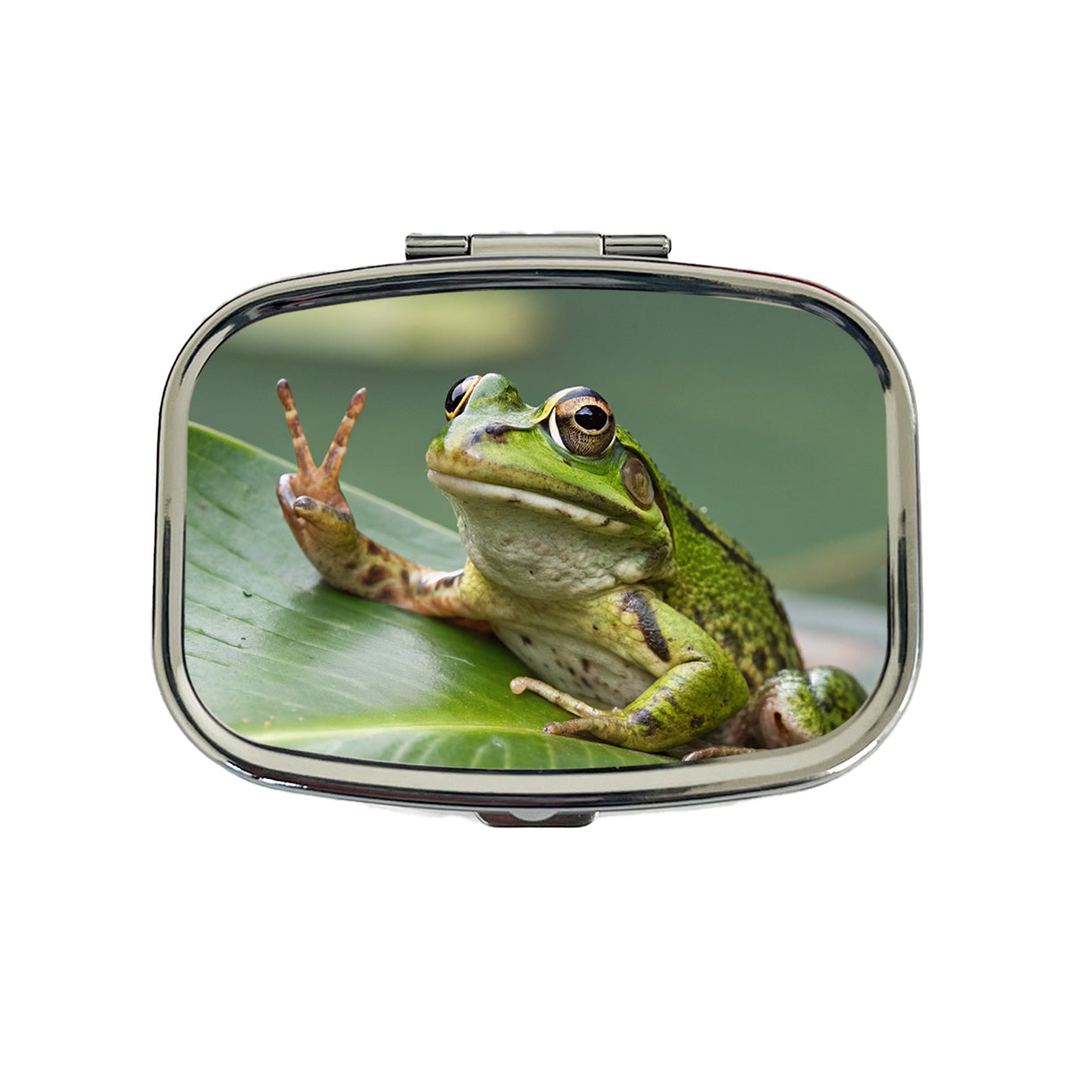 Frog Peace Sign Funny Travel Pill Box Case