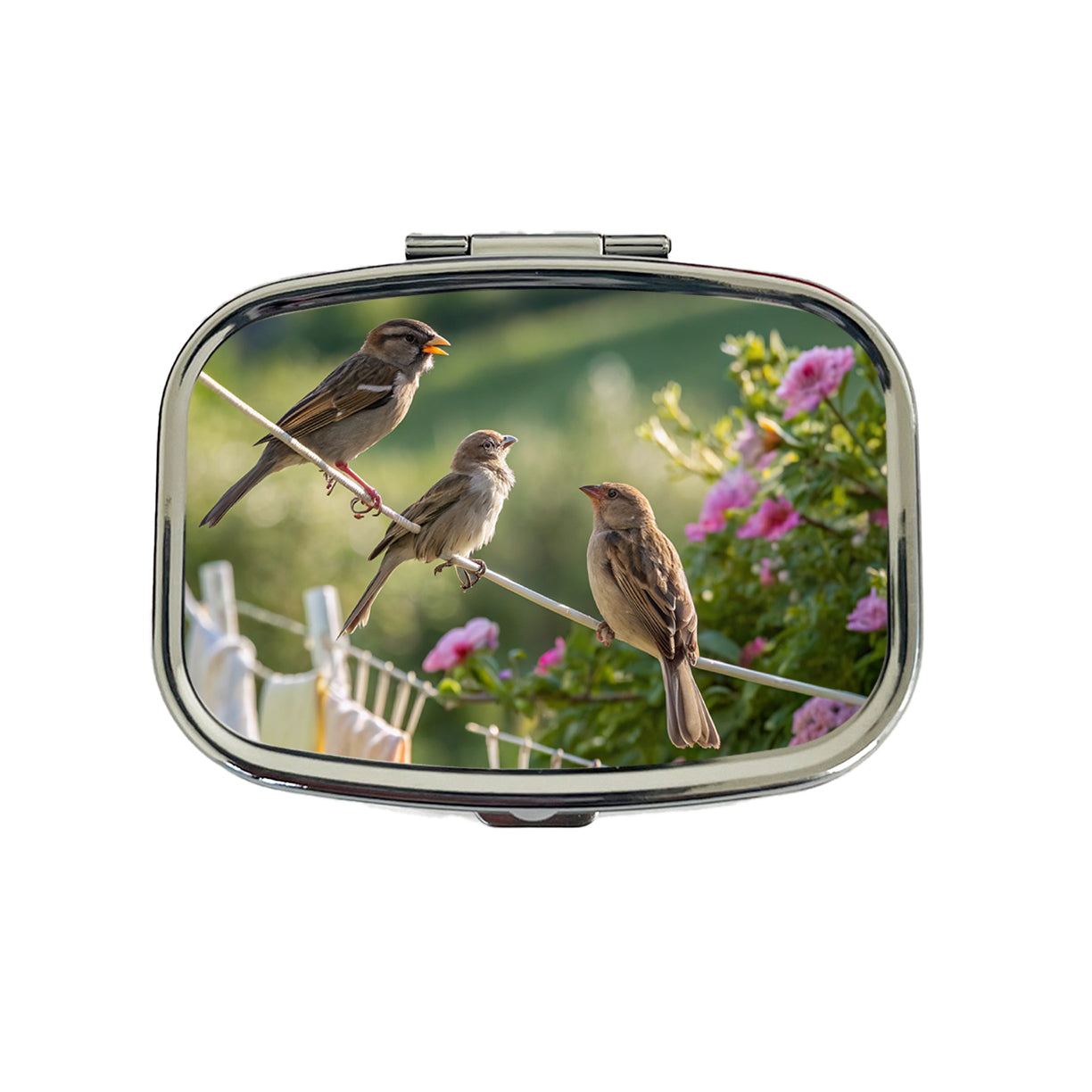 Birds On A Clothesline Travel Pill Box Case