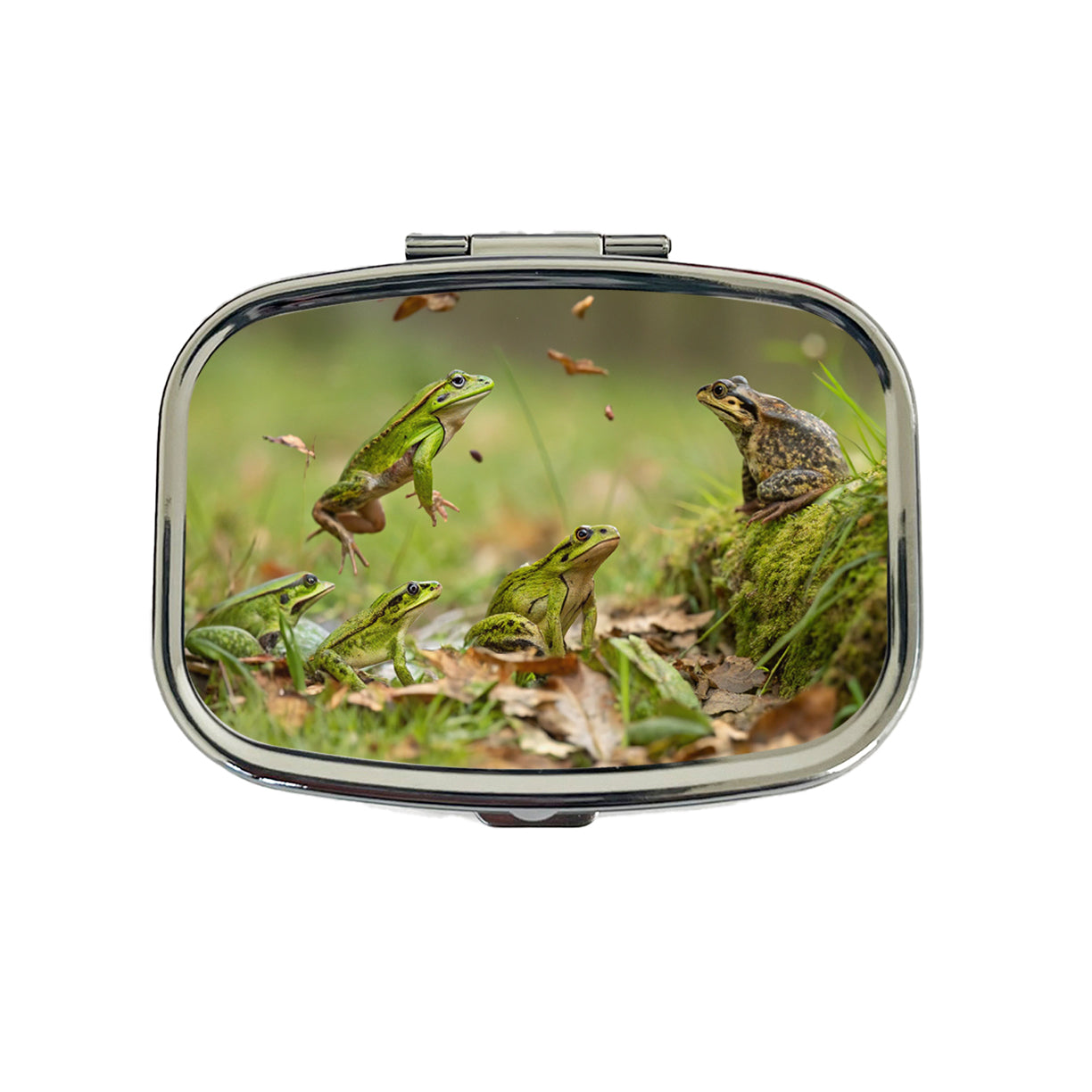 Bunch Of Frogs Travel Pill Box Case