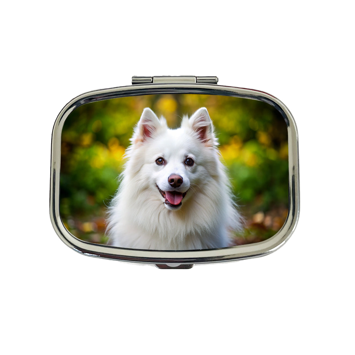 American Eskimo Dog Photo Travel Pill Box Case