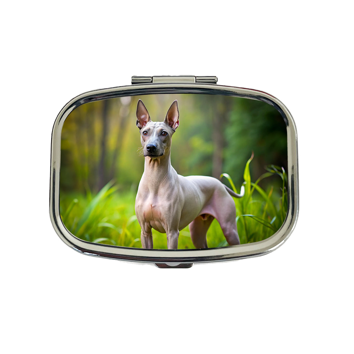 American Hairless Terrier Dog Photo Travel Pill Box Case