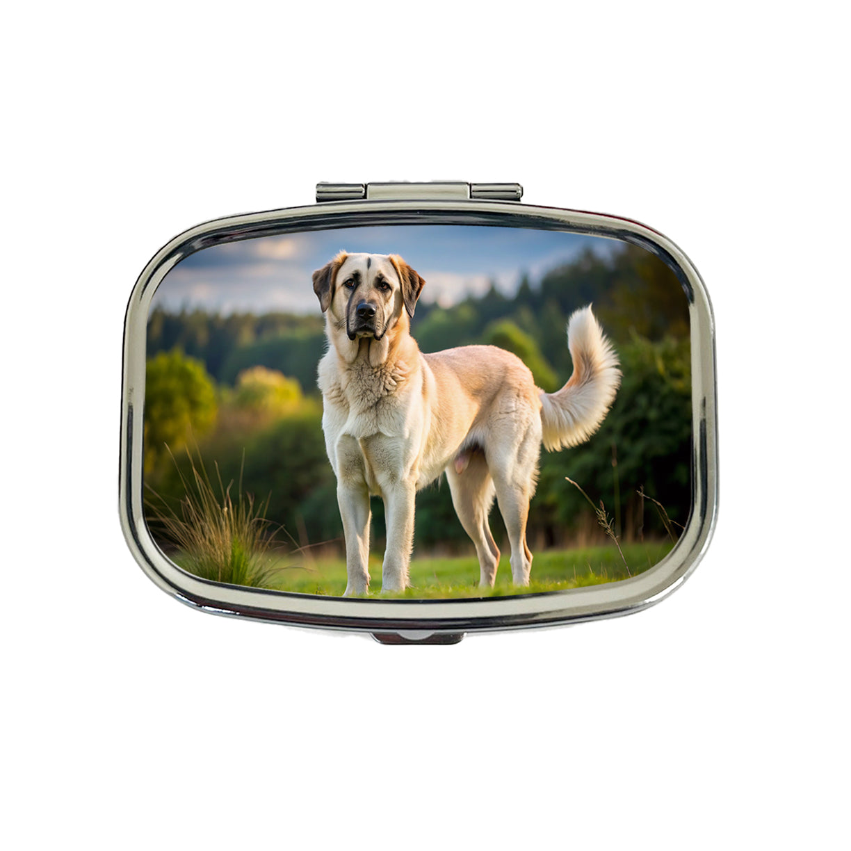 Anatolian Shepherd Dog Photo Travel Pill Box Case