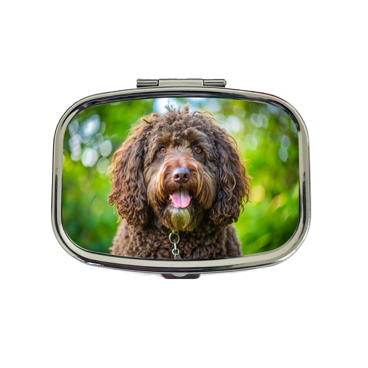 Barbet Dog Photo Travel Pill Box Case