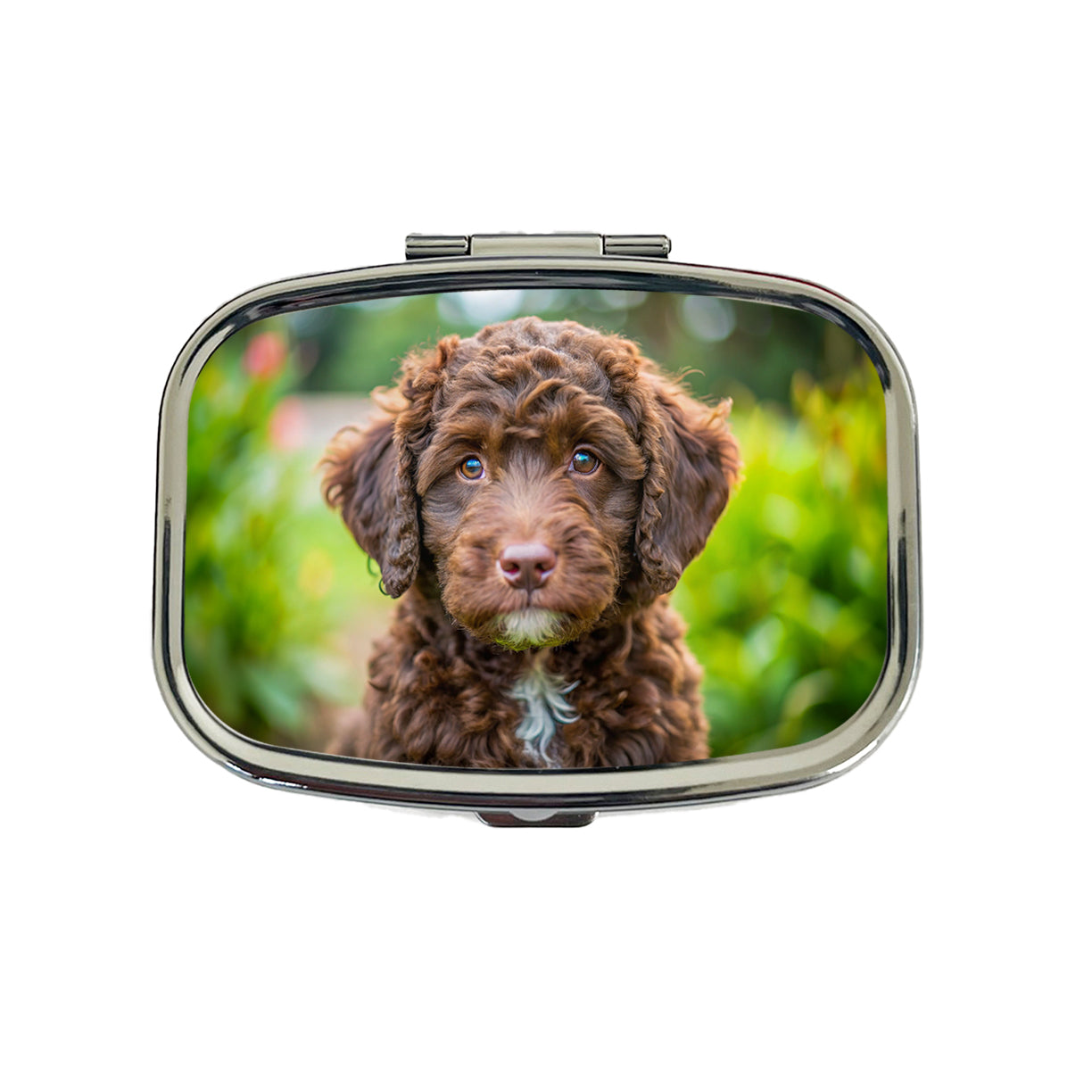 Barbet Dog Puppy Photo Travel Pill Box Case