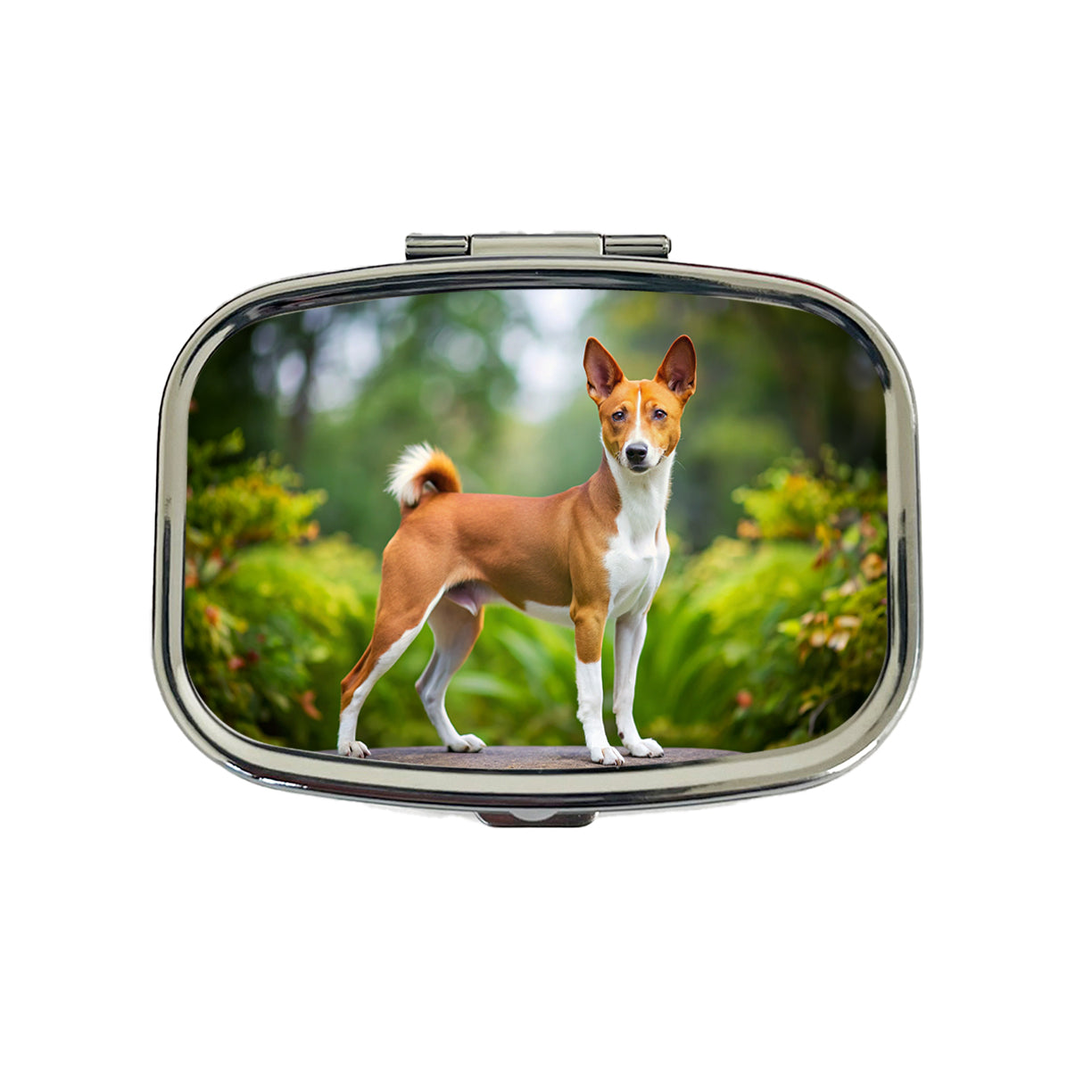 Basenji Dog Photo Travel Pill Box Case