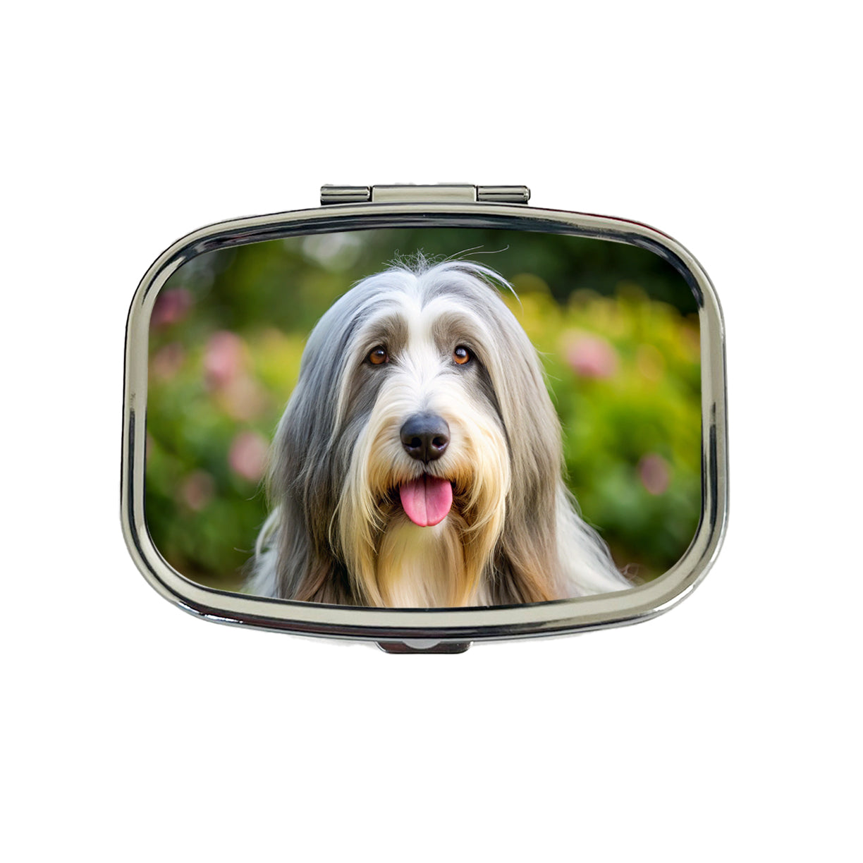 Bearded Collie Dog Photo Travel Pill Box Case