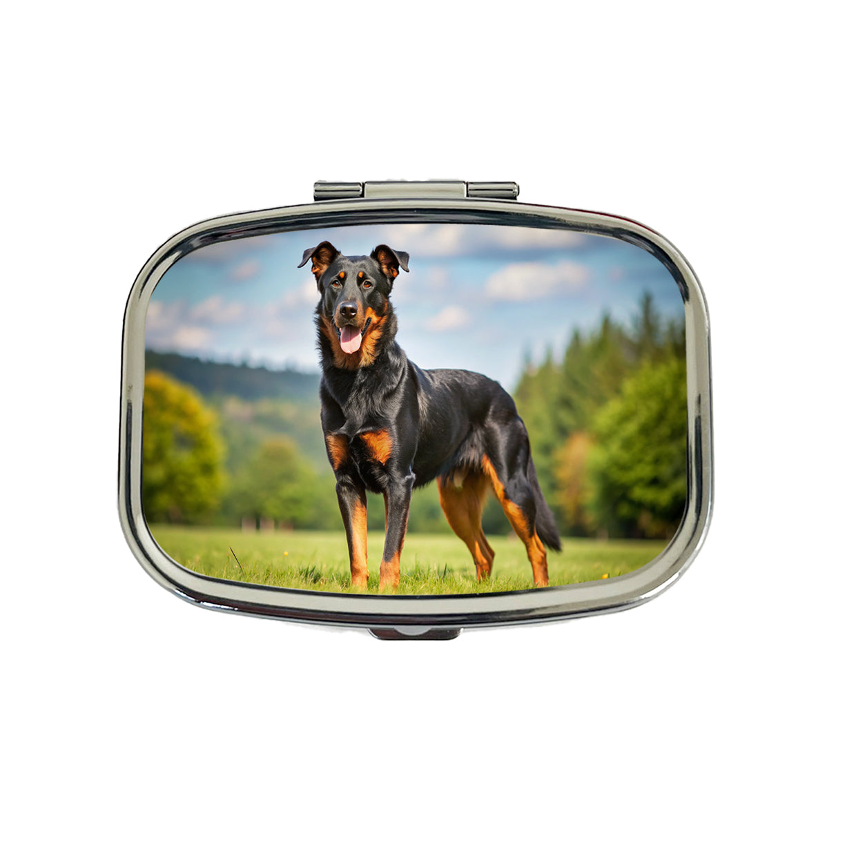 Beauceron Dog Photo Travel Pill Box Case