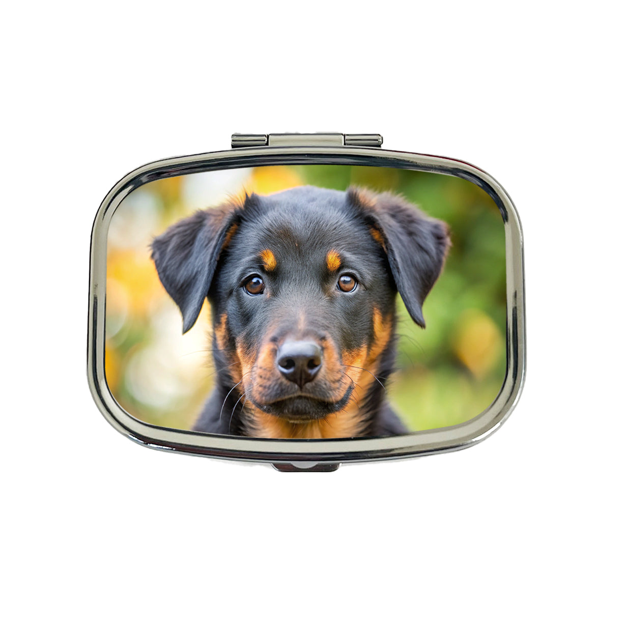 Beauceron Dog Puppy Photo Travel Pill Box Case