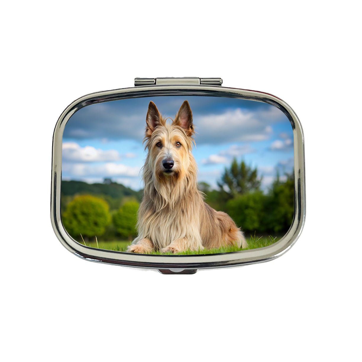 Berger Picard Dog Photo Travel Pill Box Case
