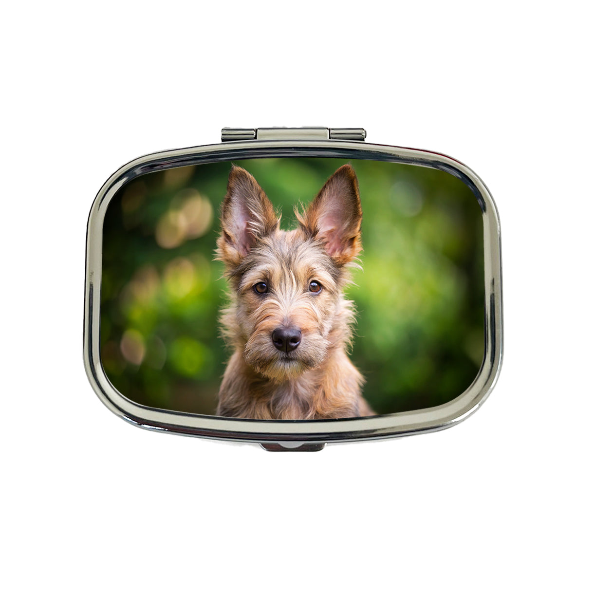 Berger Picard Dog Puppy Photo Travel Pill Box Case