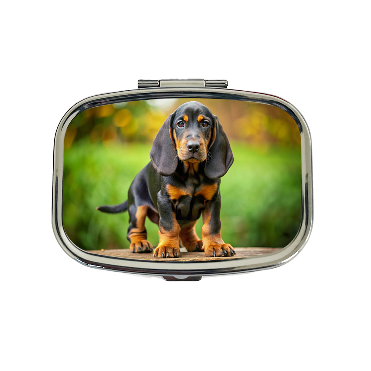 Black And Tan Coonhound Dog Puppy Photo Travel Pill Box Case