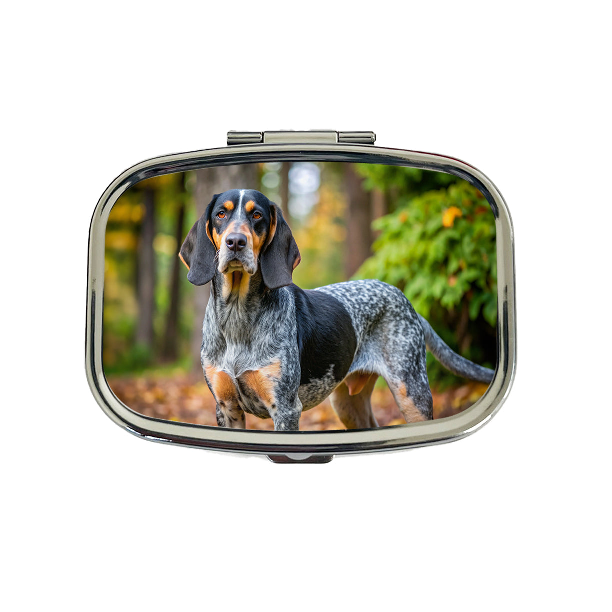 Bluetick Coonhound Dog Photo Travel Pill Box Case