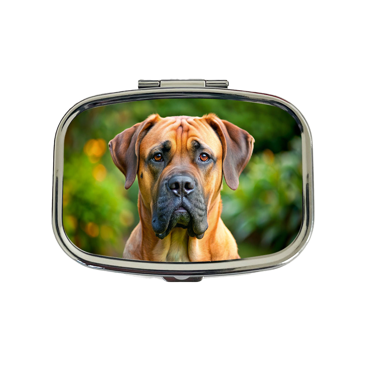 Boerboel Dog Photo Travel Pill Box Case
