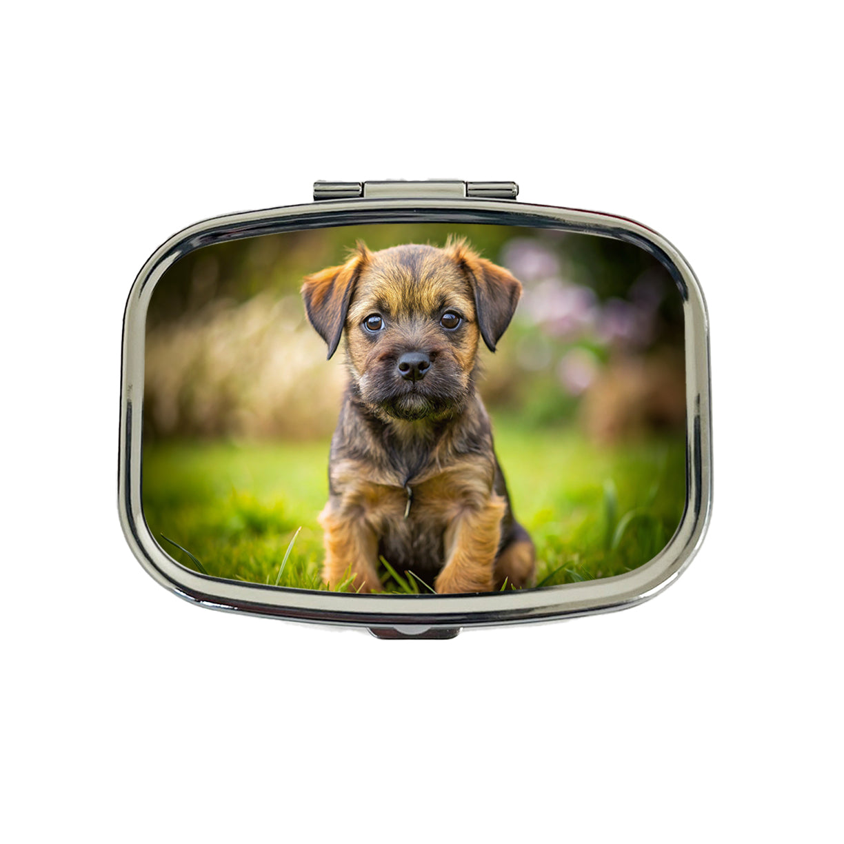 Border Terrier Dog Puppy Photo Travel Pill Box Case