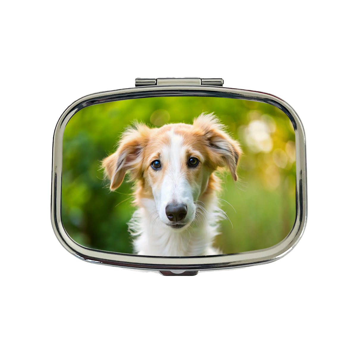 Borzoi Dog Puppy Photo Travel Pill Box Case