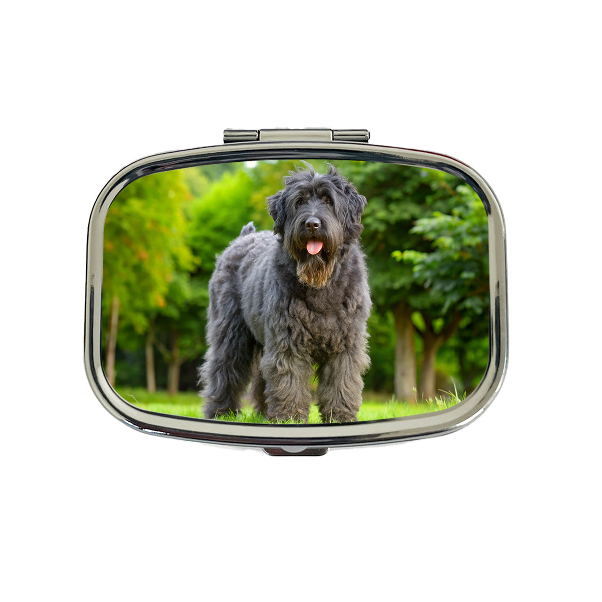 Bouviers Des Flandres Dog Photo Travel Pill Box Case
