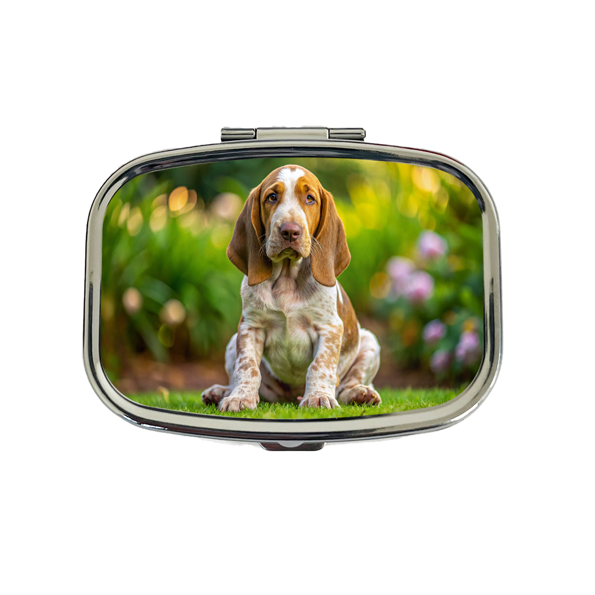 Bracco Italiano Dog Puppy Photo Travel Pill Box Case