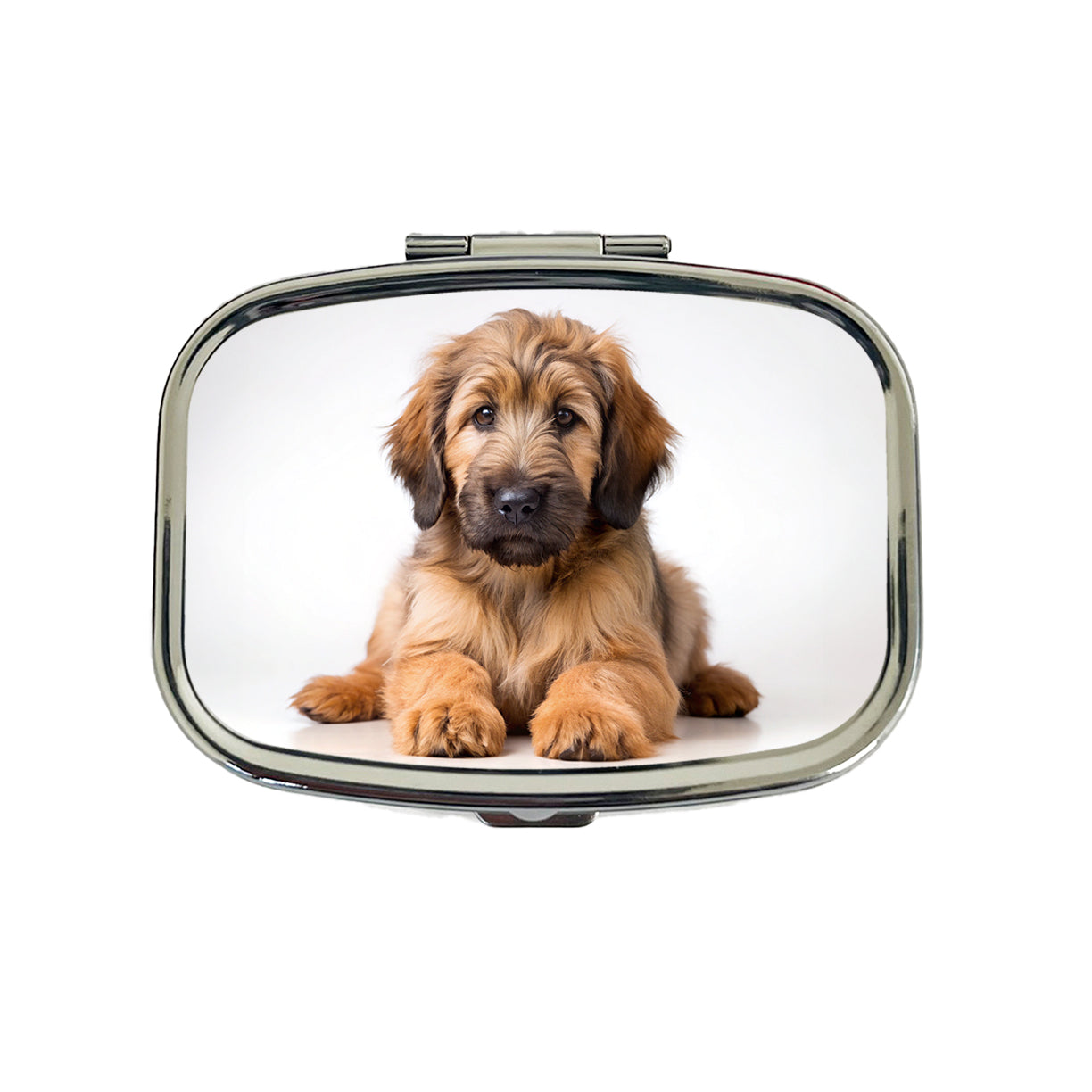 Briard Dog Puppy Photo Travel Pill Box Case