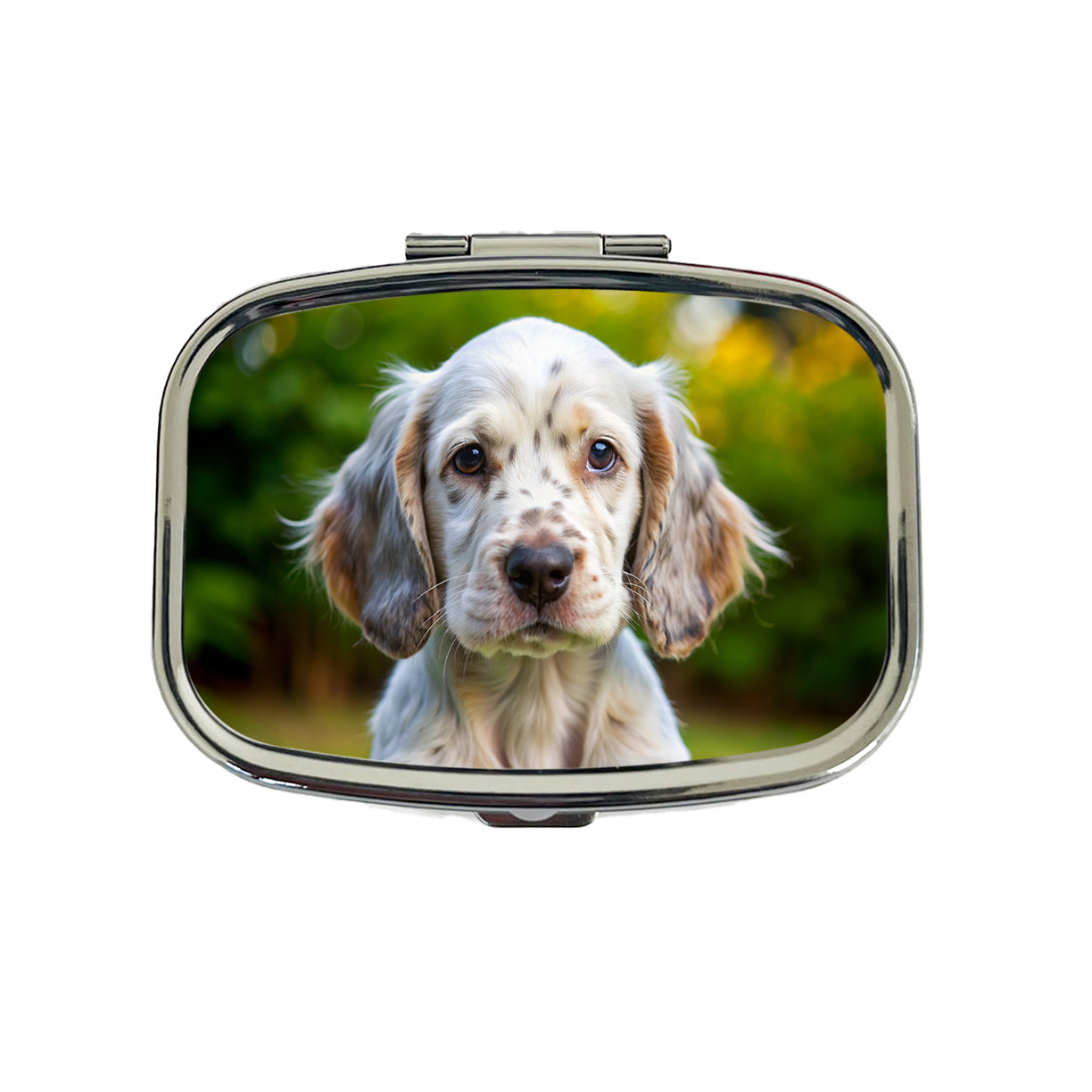 English Setter Dog Puppy Photo Travel Pill Box Case