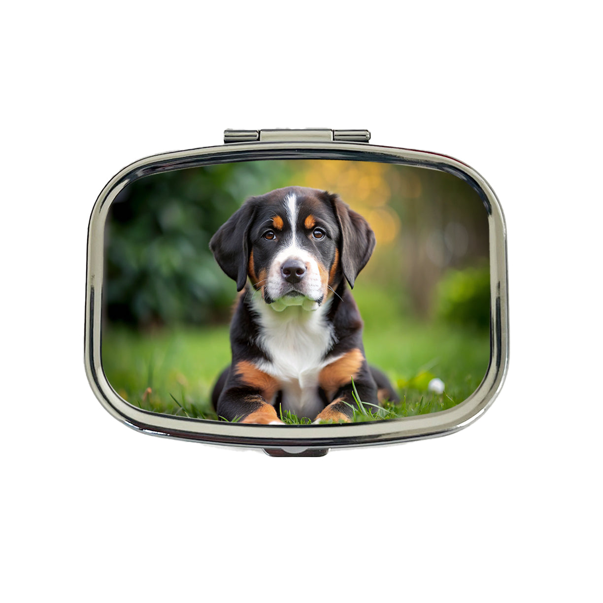 Greater Swiss Mountain Dog Puppy Photo Travel Pill Box Case