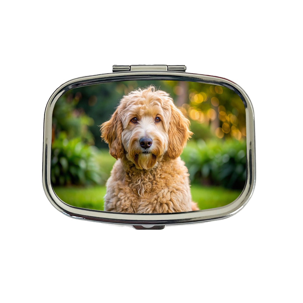 Labradoodle Dog Photo Travel Pill Box Case