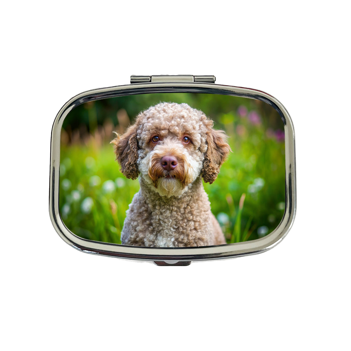 Lagotto Romagnolo Dog Photo Travel Pill Box Case