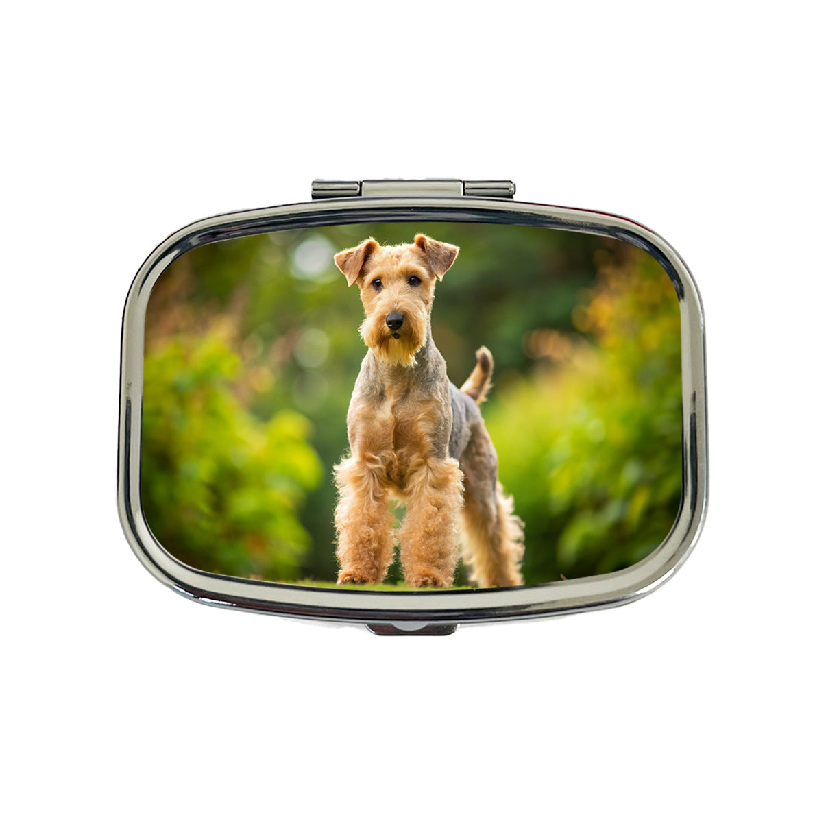 Lakeland Terrier Dog Photo Travel Pill Box Case