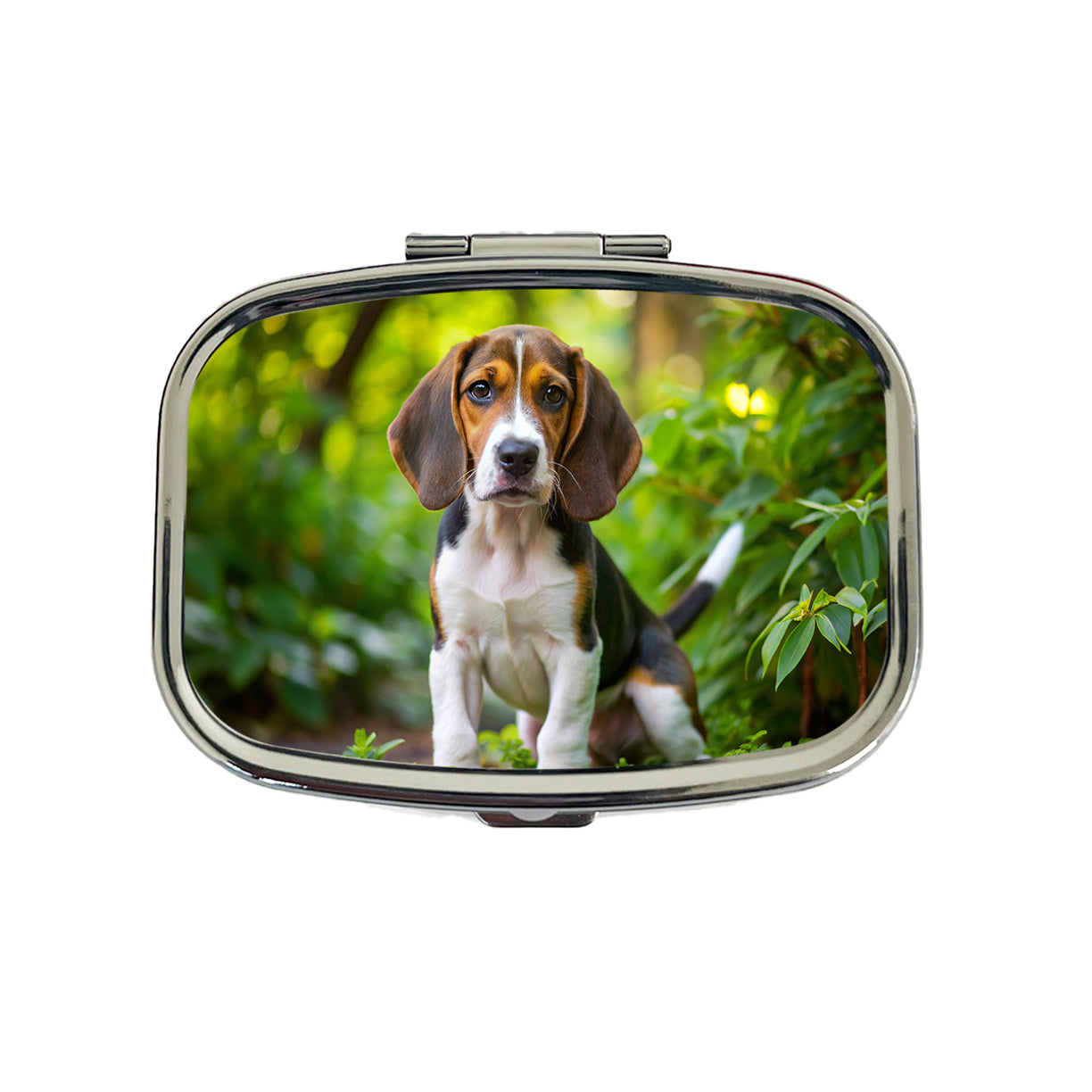 Treeing Walker Coonhound Dog Puppy Photo Travel Pill Box Case