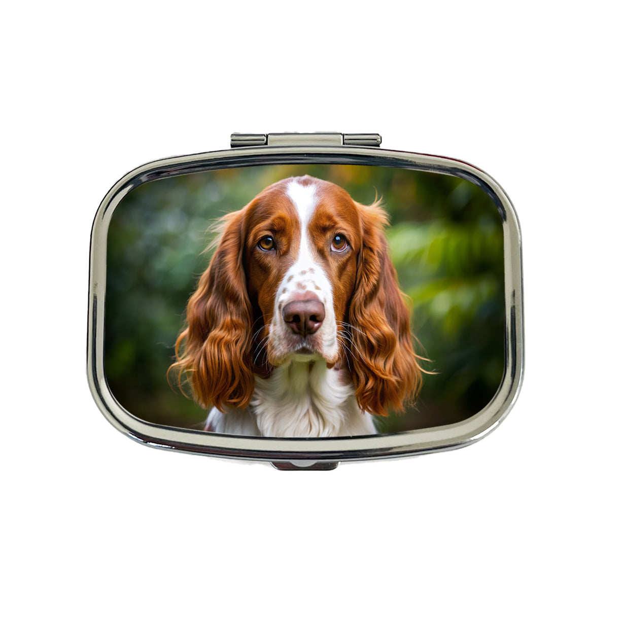 Welsh Springer Spaniel Dog Photo Travel Pill Box Case