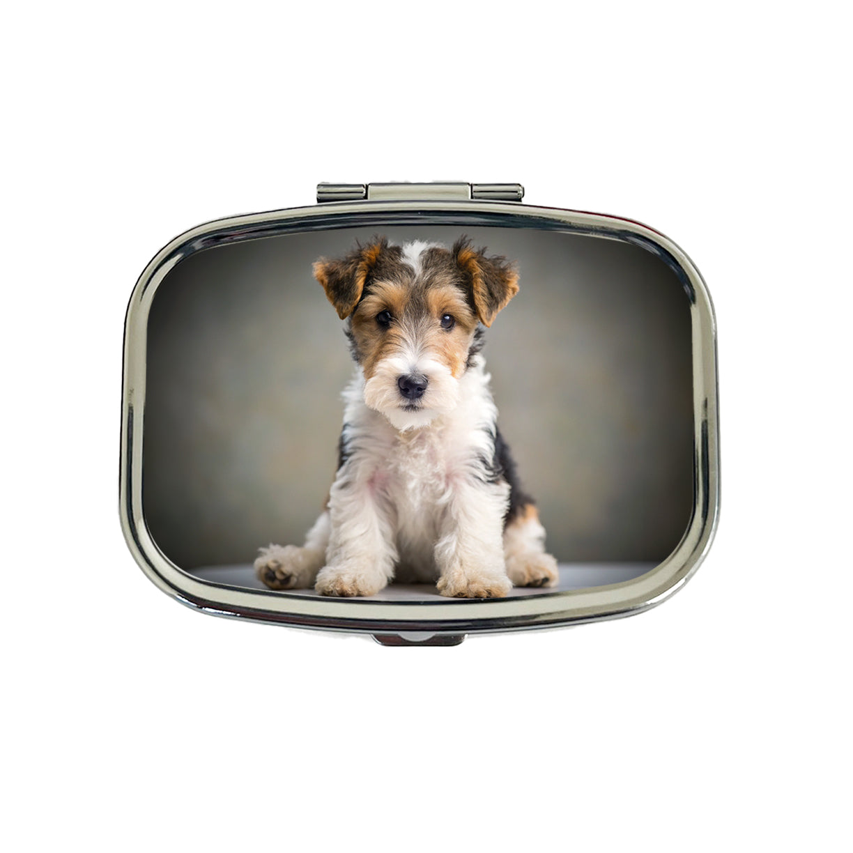 Wire Fox Terrier Dog Puppy Photo Travel Pill Box Case